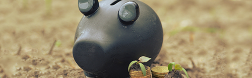 Piggy bank