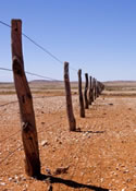 ATO drought photo