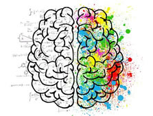 Brain L&R
