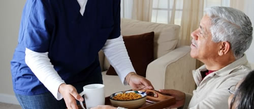 Care & food