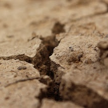 Cracks showing