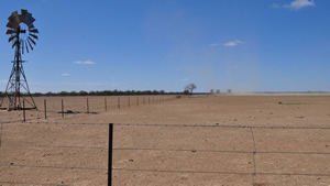 Dry paddock